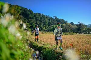 BIB: 
                            <button type="button" onclick="openModal(26571958)" class="btn btn-primary btn-sm float-right btn-popup" data-toggle="modal" data-target=".modal-high-quality">
                        <i class="fas fa-shopping-cart"></i> Add to Cart
                    </button>
                                            <button type="button" onclick="isThisMe(26571958, true)" class="btn btn-success btn-sm float-right btn-popup btn-isme hidden" data-toggle="tooltip" data-placement="bottom" title="นี่คือรูปของคุณใช่ไหม คลิกที่นี่เพื่อเอาเข้าอัลบั้ม">
                        <i class="fas fa-plus"></i> Add to album
                    </button>
                    <button type="button" onclick="isThisMe(26571958, false)" class="btn btn-warning btn-sm float-right btn-popup btn-isnotme hidden">
                        <i class="fas fa-ban"></i> Remove from album
                    </button>