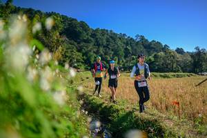 BIB: 
                            <button type="button" onclick="openModal(26571618)" class="btn btn-primary btn-sm float-right btn-popup" data-toggle="modal" data-target=".modal-high-quality">
                        <i class="fas fa-shopping-cart"></i> Add to Cart
                    </button>
                                            <button type="button" onclick="isThisMe(26571618, true)" class="btn btn-success btn-sm float-right btn-popup btn-isme hidden" data-toggle="tooltip" data-placement="bottom" title="นี่คือรูปของคุณใช่ไหม คลิกที่นี่เพื่อเอาเข้าอัลบั้ม">
                        <i class="fas fa-plus"></i> Add to album
                    </button>
                    <button type="button" onclick="isThisMe(26571618, false)" class="btn btn-warning btn-sm float-right btn-popup btn-isnotme hidden">
                        <i class="fas fa-ban"></i> Remove from album
                    </button>