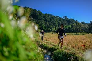 BIB: 
                            <button type="button" onclick="openModal(26572151)" class="btn btn-primary btn-sm float-right btn-popup" data-toggle="modal" data-target=".modal-high-quality">
                        <i class="fas fa-shopping-cart"></i> Add to Cart
                    </button>
                                            <button type="button" onclick="isThisMe(26572151, true)" class="btn btn-success btn-sm float-right btn-popup btn-isme hidden" data-toggle="tooltip" data-placement="bottom" title="นี่คือรูปของคุณใช่ไหม คลิกที่นี่เพื่อเอาเข้าอัลบั้ม">
                        <i class="fas fa-plus"></i> Add to album
                    </button>
                    <button type="button" onclick="isThisMe(26572151, false)" class="btn btn-warning btn-sm float-right btn-popup btn-isnotme hidden">
                        <i class="fas fa-ban"></i> Remove from album
                    </button>