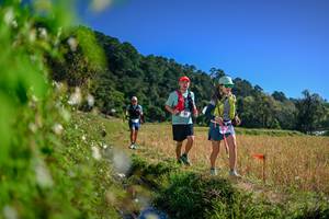 BIB: 
                            <button type="button" onclick="openModal(26580250)" class="btn btn-primary btn-sm float-right btn-popup" data-toggle="modal" data-target=".modal-high-quality">
                        <i class="fas fa-shopping-cart"></i> Add to Cart
                    </button>
                                            <button type="button" onclick="isThisMe(26580250, true)" class="btn btn-success btn-sm float-right btn-popup btn-isme hidden" data-toggle="tooltip" data-placement="bottom" title="นี่คือรูปของคุณใช่ไหม คลิกที่นี่เพื่อเอาเข้าอัลบั้ม">
                        <i class="fas fa-plus"></i> Add to album
                    </button>
                    <button type="button" onclick="isThisMe(26580250, false)" class="btn btn-warning btn-sm float-right btn-popup btn-isnotme hidden">
                        <i class="fas fa-ban"></i> Remove from album
                    </button>