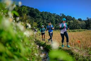 BIB: 
                            <button type="button" onclick="openModal(26574838)" class="btn btn-primary btn-sm float-right btn-popup" data-toggle="modal" data-target=".modal-high-quality">
                        <i class="fas fa-shopping-cart"></i> Add to Cart
                    </button>
                                            <button type="button" onclick="isThisMe(26574838, true)" class="btn btn-success btn-sm float-right btn-popup btn-isme hidden" data-toggle="tooltip" data-placement="bottom" title="นี่คือรูปของคุณใช่ไหม คลิกที่นี่เพื่อเอาเข้าอัลบั้ม">
                        <i class="fas fa-plus"></i> Add to album
                    </button>
                    <button type="button" onclick="isThisMe(26574838, false)" class="btn btn-warning btn-sm float-right btn-popup btn-isnotme hidden">
                        <i class="fas fa-ban"></i> Remove from album
                    </button>