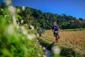 BIB: 
                            <button type="button" onclick="openModal(26574796)" class="btn btn-primary btn-sm float-right btn-popup" data-toggle="modal" data-target=".modal-high-quality">
                        <i class="fas fa-shopping-cart"></i> Add to Cart
                    </button>
                                            <button type="button" onclick="isThisMe(26574796, true)" class="btn btn-success btn-sm float-right btn-popup btn-isme hidden" data-toggle="tooltip" data-placement="bottom" title="นี่คือรูปของคุณใช่ไหม คลิกที่นี่เพื่อเอาเข้าอัลบั้ม">
                        <i class="fas fa-plus"></i> Add to album
                    </button>
                    <button type="button" onclick="isThisMe(26574796, false)" class="btn btn-warning btn-sm float-right btn-popup btn-isnotme hidden">
                        <i class="fas fa-ban"></i> Remove from album
                    </button>