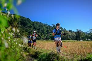 BIB: 
                            <button type="button" onclick="openModal(26580036)" class="btn btn-primary btn-sm float-right btn-popup" data-toggle="modal" data-target=".modal-high-quality">
                        <i class="fas fa-shopping-cart"></i> Add to Cart
                    </button>
                                            <button type="button" onclick="isThisMe(26580036, true)" class="btn btn-success btn-sm float-right btn-popup btn-isme hidden" data-toggle="tooltip" data-placement="bottom" title="นี่คือรูปของคุณใช่ไหม คลิกที่นี่เพื่อเอาเข้าอัลบั้ม">
                        <i class="fas fa-plus"></i> Add to album
                    </button>
                    <button type="button" onclick="isThisMe(26580036, false)" class="btn btn-warning btn-sm float-right btn-popup btn-isnotme hidden">
                        <i class="fas fa-ban"></i> Remove from album
                    </button>