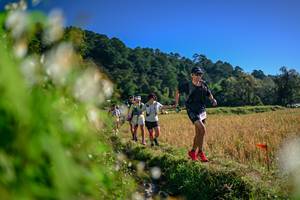 BIB: 
                            <button type="button" onclick="openModal(26572063)" class="btn btn-primary btn-sm float-right btn-popup" data-toggle="modal" data-target=".modal-high-quality">
                        <i class="fas fa-shopping-cart"></i> Add to Cart
                    </button>
                                            <button type="button" onclick="isThisMe(26572063, true)" class="btn btn-success btn-sm float-right btn-popup btn-isme hidden" data-toggle="tooltip" data-placement="bottom" title="นี่คือรูปของคุณใช่ไหม คลิกที่นี่เพื่อเอาเข้าอัลบั้ม">
                        <i class="fas fa-plus"></i> Add to album
                    </button>
                    <button type="button" onclick="isThisMe(26572063, false)" class="btn btn-warning btn-sm float-right btn-popup btn-isnotme hidden">
                        <i class="fas fa-ban"></i> Remove from album
                    </button>