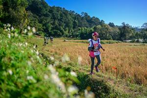 BIB: 
                            <button type="button" onclick="openModal(26571405)" class="btn btn-primary btn-sm float-right btn-popup" data-toggle="modal" data-target=".modal-high-quality">
                        <i class="fas fa-shopping-cart"></i> Add to Cart
                    </button>
                                            <button type="button" onclick="isThisMe(26571405, true)" class="btn btn-success btn-sm float-right btn-popup btn-isme hidden" data-toggle="tooltip" data-placement="bottom" title="นี่คือรูปของคุณใช่ไหม คลิกที่นี่เพื่อเอาเข้าอัลบั้ม">
                        <i class="fas fa-plus"></i> Add to album
                    </button>
                    <button type="button" onclick="isThisMe(26571405, false)" class="btn btn-warning btn-sm float-right btn-popup btn-isnotme hidden">
                        <i class="fas fa-ban"></i> Remove from album
                    </button>