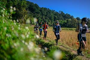 BIB: 
                            <button type="button" onclick="openModal(26576321)" class="btn btn-primary btn-sm float-right btn-popup" data-toggle="modal" data-target=".modal-high-quality">
                        <i class="fas fa-shopping-cart"></i> Add to Cart
                    </button>
                                            <button type="button" onclick="isThisMe(26576321, true)" class="btn btn-success btn-sm float-right btn-popup btn-isme hidden" data-toggle="tooltip" data-placement="bottom" title="นี่คือรูปของคุณใช่ไหม คลิกที่นี่เพื่อเอาเข้าอัลบั้ม">
                        <i class="fas fa-plus"></i> Add to album
                    </button>
                    <button type="button" onclick="isThisMe(26576321, false)" class="btn btn-warning btn-sm float-right btn-popup btn-isnotme hidden">
                        <i class="fas fa-ban"></i> Remove from album
                    </button>