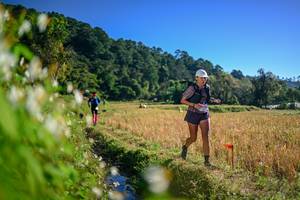 BIB: 
                            <button type="button" onclick="openModal(26571726)" class="btn btn-primary btn-sm float-right btn-popup" data-toggle="modal" data-target=".modal-high-quality">
                        <i class="fas fa-shopping-cart"></i> Add to Cart
                    </button>
                                            <button type="button" onclick="isThisMe(26571726, true)" class="btn btn-success btn-sm float-right btn-popup btn-isme hidden" data-toggle="tooltip" data-placement="bottom" title="นี่คือรูปของคุณใช่ไหม คลิกที่นี่เพื่อเอาเข้าอัลบั้ม">
                        <i class="fas fa-plus"></i> Add to album
                    </button>
                    <button type="button" onclick="isThisMe(26571726, false)" class="btn btn-warning btn-sm float-right btn-popup btn-isnotme hidden">
                        <i class="fas fa-ban"></i> Remove from album
                    </button>