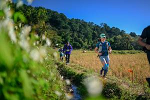 BIB: 
                            <button type="button" onclick="openModal(26573352)" class="btn btn-primary btn-sm float-right btn-popup" data-toggle="modal" data-target=".modal-high-quality">
                        <i class="fas fa-shopping-cart"></i> Add to Cart
                    </button>
                                            <button type="button" onclick="isThisMe(26573352, true)" class="btn btn-success btn-sm float-right btn-popup btn-isme hidden" data-toggle="tooltip" data-placement="bottom" title="นี่คือรูปของคุณใช่ไหม คลิกที่นี่เพื่อเอาเข้าอัลบั้ม">
                        <i class="fas fa-plus"></i> Add to album
                    </button>
                    <button type="button" onclick="isThisMe(26573352, false)" class="btn btn-warning btn-sm float-right btn-popup btn-isnotme hidden">
                        <i class="fas fa-ban"></i> Remove from album
                    </button>