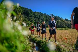 BIB: 
                            <button type="button" onclick="openModal(26574134)" class="btn btn-primary btn-sm float-right btn-popup" data-toggle="modal" data-target=".modal-high-quality">
                        <i class="fas fa-shopping-cart"></i> Add to Cart
                    </button>
                                            <button type="button" onclick="isThisMe(26574134, true)" class="btn btn-success btn-sm float-right btn-popup btn-isme hidden" data-toggle="tooltip" data-placement="bottom" title="นี่คือรูปของคุณใช่ไหม คลิกที่นี่เพื่อเอาเข้าอัลบั้ม">
                        <i class="fas fa-plus"></i> Add to album
                    </button>
                    <button type="button" onclick="isThisMe(26574134, false)" class="btn btn-warning btn-sm float-right btn-popup btn-isnotme hidden">
                        <i class="fas fa-ban"></i> Remove from album
                    </button>