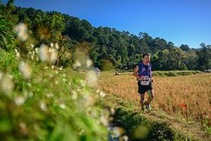 BIB: 
                            <button type="button" onclick="openModal(26571078)" class="btn btn-primary btn-sm float-right btn-popup" data-toggle="modal" data-target=".modal-high-quality">
                        <i class="fas fa-shopping-cart"></i> Add to Cart
                    </button>
                                            <button type="button" onclick="isThisMe(26571078, true)" class="btn btn-success btn-sm float-right btn-popup btn-isme hidden" data-toggle="tooltip" data-placement="bottom" title="นี่คือรูปของคุณใช่ไหม คลิกที่นี่เพื่อเอาเข้าอัลบั้ม">
                        <i class="fas fa-plus"></i> Add to album
                    </button>
                    <button type="button" onclick="isThisMe(26571078, false)" class="btn btn-warning btn-sm float-right btn-popup btn-isnotme hidden">
                        <i class="fas fa-ban"></i> Remove from album
                    </button>