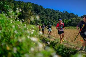 BIB: 
                            <button type="button" onclick="openModal(26582237)" class="btn btn-primary btn-sm float-right btn-popup" data-toggle="modal" data-target=".modal-high-quality">
                        <i class="fas fa-shopping-cart"></i> Add to Cart
                    </button>
                                            <button type="button" onclick="isThisMe(26582237, true)" class="btn btn-success btn-sm float-right btn-popup btn-isme hidden" data-toggle="tooltip" data-placement="bottom" title="นี่คือรูปของคุณใช่ไหม คลิกที่นี่เพื่อเอาเข้าอัลบั้ม">
                        <i class="fas fa-plus"></i> Add to album
                    </button>
                    <button type="button" onclick="isThisMe(26582237, false)" class="btn btn-warning btn-sm float-right btn-popup btn-isnotme hidden">
                        <i class="fas fa-ban"></i> Remove from album
                    </button>