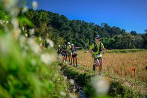 BIB: 
                            <button type="button" onclick="openModal(26574013)" class="btn btn-primary btn-sm float-right btn-popup" data-toggle="modal" data-target=".modal-high-quality">
                        <i class="fas fa-shopping-cart"></i> Add to Cart
                    </button>
                                            <button type="button" onclick="isThisMe(26574013, true)" class="btn btn-success btn-sm float-right btn-popup btn-isme hidden" data-toggle="tooltip" data-placement="bottom" title="นี่คือรูปของคุณใช่ไหม คลิกที่นี่เพื่อเอาเข้าอัลบั้ม">
                        <i class="fas fa-plus"></i> Add to album
                    </button>
                    <button type="button" onclick="isThisMe(26574013, false)" class="btn btn-warning btn-sm float-right btn-popup btn-isnotme hidden">
                        <i class="fas fa-ban"></i> Remove from album
                    </button>