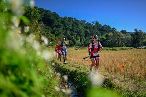 BIB: 
                            <button type="button" onclick="openModal(26574181)" class="btn btn-primary btn-sm float-right btn-popup" data-toggle="modal" data-target=".modal-high-quality">
                        <i class="fas fa-shopping-cart"></i> Add to Cart
                    </button>
                                            <button type="button" onclick="isThisMe(26574181, true)" class="btn btn-success btn-sm float-right btn-popup btn-isme hidden" data-toggle="tooltip" data-placement="bottom" title="นี่คือรูปของคุณใช่ไหม คลิกที่นี่เพื่อเอาเข้าอัลบั้ม">
                        <i class="fas fa-plus"></i> Add to album
                    </button>
                    <button type="button" onclick="isThisMe(26574181, false)" class="btn btn-warning btn-sm float-right btn-popup btn-isnotme hidden">
                        <i class="fas fa-ban"></i> Remove from album
                    </button>