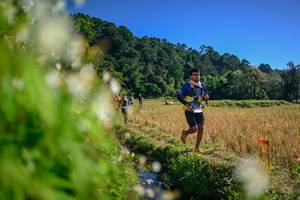 BIB: 
                            <button type="button" onclick="openModal(26572233)" class="btn btn-primary btn-sm float-right btn-popup" data-toggle="modal" data-target=".modal-high-quality">
                        <i class="fas fa-shopping-cart"></i> Add to Cart
                    </button>
                                            <button type="button" onclick="isThisMe(26572233, true)" class="btn btn-success btn-sm float-right btn-popup btn-isme hidden" data-toggle="tooltip" data-placement="bottom" title="นี่คือรูปของคุณใช่ไหม คลิกที่นี่เพื่อเอาเข้าอัลบั้ม">
                        <i class="fas fa-plus"></i> Add to album
                    </button>
                    <button type="button" onclick="isThisMe(26572233, false)" class="btn btn-warning btn-sm float-right btn-popup btn-isnotme hidden">
                        <i class="fas fa-ban"></i> Remove from album
                    </button>