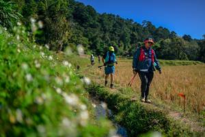 BIB: 
                            <button type="button" onclick="openModal(26581770)" class="btn btn-primary btn-sm float-right btn-popup" data-toggle="modal" data-target=".modal-high-quality">
                        <i class="fas fa-shopping-cart"></i> Add to Cart
                    </button>
                                            <button type="button" onclick="isThisMe(26581770, true)" class="btn btn-success btn-sm float-right btn-popup btn-isme hidden" data-toggle="tooltip" data-placement="bottom" title="นี่คือรูปของคุณใช่ไหม คลิกที่นี่เพื่อเอาเข้าอัลบั้ม">
                        <i class="fas fa-plus"></i> Add to album
                    </button>
                    <button type="button" onclick="isThisMe(26581770, false)" class="btn btn-warning btn-sm float-right btn-popup btn-isnotme hidden">
                        <i class="fas fa-ban"></i> Remove from album
                    </button>