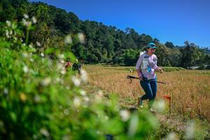 BIB: 
                            <button type="button" onclick="openModal(26581425)" class="btn btn-primary btn-sm float-right btn-popup" data-toggle="modal" data-target=".modal-high-quality">
                        <i class="fas fa-shopping-cart"></i> Add to Cart
                    </button>
                                            <button type="button" onclick="isThisMe(26581425, true)" class="btn btn-success btn-sm float-right btn-popup btn-isme hidden" data-toggle="tooltip" data-placement="bottom" title="นี่คือรูปของคุณใช่ไหม คลิกที่นี่เพื่อเอาเข้าอัลบั้ม">
                        <i class="fas fa-plus"></i> Add to album
                    </button>
                    <button type="button" onclick="isThisMe(26581425, false)" class="btn btn-warning btn-sm float-right btn-popup btn-isnotme hidden">
                        <i class="fas fa-ban"></i> Remove from album
                    </button>