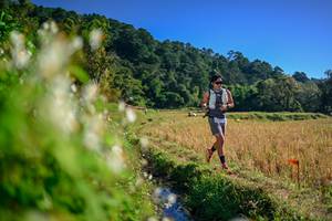 BIB: 
                            <button type="button" onclick="openModal(26571541)" class="btn btn-primary btn-sm float-right btn-popup" data-toggle="modal" data-target=".modal-high-quality">
                        <i class="fas fa-shopping-cart"></i> Add to Cart
                    </button>
                                            <button type="button" onclick="isThisMe(26571541, true)" class="btn btn-success btn-sm float-right btn-popup btn-isme hidden" data-toggle="tooltip" data-placement="bottom" title="นี่คือรูปของคุณใช่ไหม คลิกที่นี่เพื่อเอาเข้าอัลบั้ม">
                        <i class="fas fa-plus"></i> Add to album
                    </button>
                    <button type="button" onclick="isThisMe(26571541, false)" class="btn btn-warning btn-sm float-right btn-popup btn-isnotme hidden">
                        <i class="fas fa-ban"></i> Remove from album
                    </button>