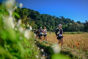 BIB: 
                            <button type="button" onclick="openModal(26572355)" class="btn btn-primary btn-sm float-right btn-popup" data-toggle="modal" data-target=".modal-high-quality">
                        <i class="fas fa-shopping-cart"></i> Add to Cart
                    </button>
                                            <button type="button" onclick="isThisMe(26572355, true)" class="btn btn-success btn-sm float-right btn-popup btn-isme hidden" data-toggle="tooltip" data-placement="bottom" title="นี่คือรูปของคุณใช่ไหม คลิกที่นี่เพื่อเอาเข้าอัลบั้ม">
                        <i class="fas fa-plus"></i> Add to album
                    </button>
                    <button type="button" onclick="isThisMe(26572355, false)" class="btn btn-warning btn-sm float-right btn-popup btn-isnotme hidden">
                        <i class="fas fa-ban"></i> Remove from album
                    </button>