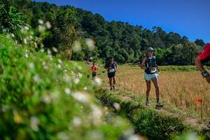 BIB: 
                            <button type="button" onclick="openModal(26582247)" class="btn btn-primary btn-sm float-right btn-popup" data-toggle="modal" data-target=".modal-high-quality">
                        <i class="fas fa-shopping-cart"></i> Add to Cart
                    </button>
                                            <button type="button" onclick="isThisMe(26582247, true)" class="btn btn-success btn-sm float-right btn-popup btn-isme hidden" data-toggle="tooltip" data-placement="bottom" title="นี่คือรูปของคุณใช่ไหม คลิกที่นี่เพื่อเอาเข้าอัลบั้ม">
                        <i class="fas fa-plus"></i> Add to album
                    </button>
                    <button type="button" onclick="isThisMe(26582247, false)" class="btn btn-warning btn-sm float-right btn-popup btn-isnotme hidden">
                        <i class="fas fa-ban"></i> Remove from album
                    </button>