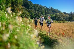 BIB: 
                            <button type="button" onclick="openModal(26571001)" class="btn btn-primary btn-sm float-right btn-popup" data-toggle="modal" data-target=".modal-high-quality">
                        <i class="fas fa-shopping-cart"></i> Add to Cart
                    </button>
                                            <button type="button" onclick="isThisMe(26571001, true)" class="btn btn-success btn-sm float-right btn-popup btn-isme hidden" data-toggle="tooltip" data-placement="bottom" title="นี่คือรูปของคุณใช่ไหม คลิกที่นี่เพื่อเอาเข้าอัลบั้ม">
                        <i class="fas fa-plus"></i> Add to album
                    </button>
                    <button type="button" onclick="isThisMe(26571001, false)" class="btn btn-warning btn-sm float-right btn-popup btn-isnotme hidden">
                        <i class="fas fa-ban"></i> Remove from album
                    </button>