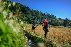 BIB: 
                            <button type="button" onclick="openModal(26571484)" class="btn btn-primary btn-sm float-right btn-popup" data-toggle="modal" data-target=".modal-high-quality">
                        <i class="fas fa-shopping-cart"></i> Add to Cart
                    </button>
                                            <button type="button" onclick="isThisMe(26571484, true)" class="btn btn-success btn-sm float-right btn-popup btn-isme hidden" data-toggle="tooltip" data-placement="bottom" title="นี่คือรูปของคุณใช่ไหม คลิกที่นี่เพื่อเอาเข้าอัลบั้ม">
                        <i class="fas fa-plus"></i> Add to album
                    </button>
                    <button type="button" onclick="isThisMe(26571484, false)" class="btn btn-warning btn-sm float-right btn-popup btn-isnotme hidden">
                        <i class="fas fa-ban"></i> Remove from album
                    </button>