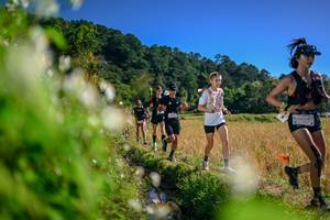 BIB: 
                            <button type="button" onclick="openModal(26575087)" class="btn btn-primary btn-sm float-right btn-popup" data-toggle="modal" data-target=".modal-high-quality">
                        <i class="fas fa-shopping-cart"></i> Add to Cart
                    </button>
                                            <button type="button" onclick="isThisMe(26575087, true)" class="btn btn-success btn-sm float-right btn-popup btn-isme hidden" data-toggle="tooltip" data-placement="bottom" title="นี่คือรูปของคุณใช่ไหม คลิกที่นี่เพื่อเอาเข้าอัลบั้ม">
                        <i class="fas fa-plus"></i> Add to album
                    </button>
                    <button type="button" onclick="isThisMe(26575087, false)" class="btn btn-warning btn-sm float-right btn-popup btn-isnotme hidden">
                        <i class="fas fa-ban"></i> Remove from album
                    </button>