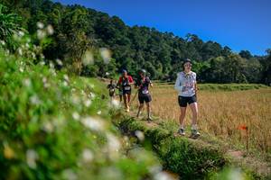 BIB: 
                            <button type="button" onclick="openModal(26582212)" class="btn btn-primary btn-sm float-right btn-popup" data-toggle="modal" data-target=".modal-high-quality">
                        <i class="fas fa-shopping-cart"></i> Add to Cart
                    </button>
                                            <button type="button" onclick="isThisMe(26582212, true)" class="btn btn-success btn-sm float-right btn-popup btn-isme hidden" data-toggle="tooltip" data-placement="bottom" title="นี่คือรูปของคุณใช่ไหม คลิกที่นี่เพื่อเอาเข้าอัลบั้ม">
                        <i class="fas fa-plus"></i> Add to album
                    </button>
                    <button type="button" onclick="isThisMe(26582212, false)" class="btn btn-warning btn-sm float-right btn-popup btn-isnotme hidden">
                        <i class="fas fa-ban"></i> Remove from album
                    </button>