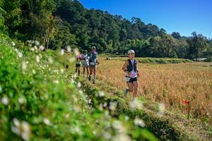 BIB: 
                            <button type="button" onclick="openModal(26571359)" class="btn btn-primary btn-sm float-right btn-popup" data-toggle="modal" data-target=".modal-high-quality">
                        <i class="fas fa-shopping-cart"></i> Add to Cart
                    </button>
                                            <button type="button" onclick="isThisMe(26571359, true)" class="btn btn-success btn-sm float-right btn-popup btn-isme hidden" data-toggle="tooltip" data-placement="bottom" title="นี่คือรูปของคุณใช่ไหม คลิกที่นี่เพื่อเอาเข้าอัลบั้ม">
                        <i class="fas fa-plus"></i> Add to album
                    </button>
                    <button type="button" onclick="isThisMe(26571359, false)" class="btn btn-warning btn-sm float-right btn-popup btn-isnotme hidden">
                        <i class="fas fa-ban"></i> Remove from album
                    </button>