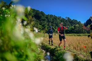 BIB: 
                            <button type="button" onclick="openModal(26573657)" class="btn btn-primary btn-sm float-right btn-popup" data-toggle="modal" data-target=".modal-high-quality">
                        <i class="fas fa-shopping-cart"></i> Add to Cart
                    </button>
                                            <button type="button" onclick="isThisMe(26573657, true)" class="btn btn-success btn-sm float-right btn-popup btn-isme hidden" data-toggle="tooltip" data-placement="bottom" title="นี่คือรูปของคุณใช่ไหม คลิกที่นี่เพื่อเอาเข้าอัลบั้ม">
                        <i class="fas fa-plus"></i> Add to album
                    </button>
                    <button type="button" onclick="isThisMe(26573657, false)" class="btn btn-warning btn-sm float-right btn-popup btn-isnotme hidden">
                        <i class="fas fa-ban"></i> Remove from album
                    </button>