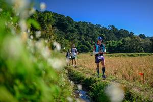 BIB: 
                            <button type="button" onclick="openModal(26573702)" class="btn btn-primary btn-sm float-right btn-popup" data-toggle="modal" data-target=".modal-high-quality">
                        <i class="fas fa-shopping-cart"></i> Add to Cart
                    </button>
                                            <button type="button" onclick="isThisMe(26573702, true)" class="btn btn-success btn-sm float-right btn-popup btn-isme hidden" data-toggle="tooltip" data-placement="bottom" title="นี่คือรูปของคุณใช่ไหม คลิกที่นี่เพื่อเอาเข้าอัลบั้ม">
                        <i class="fas fa-plus"></i> Add to album
                    </button>
                    <button type="button" onclick="isThisMe(26573702, false)" class="btn btn-warning btn-sm float-right btn-popup btn-isnotme hidden">
                        <i class="fas fa-ban"></i> Remove from album
                    </button>