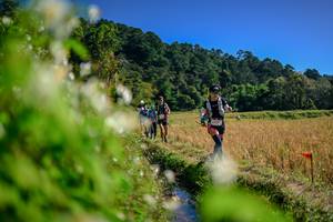 BIB: 
                            <button type="button" onclick="openModal(26574805)" class="btn btn-primary btn-sm float-right btn-popup" data-toggle="modal" data-target=".modal-high-quality">
                        <i class="fas fa-shopping-cart"></i> Add to Cart
                    </button>
                                            <button type="button" onclick="isThisMe(26574805, true)" class="btn btn-success btn-sm float-right btn-popup btn-isme hidden" data-toggle="tooltip" data-placement="bottom" title="นี่คือรูปของคุณใช่ไหม คลิกที่นี่เพื่อเอาเข้าอัลบั้ม">
                        <i class="fas fa-plus"></i> Add to album
                    </button>
                    <button type="button" onclick="isThisMe(26574805, false)" class="btn btn-warning btn-sm float-right btn-popup btn-isnotme hidden">
                        <i class="fas fa-ban"></i> Remove from album
                    </button>