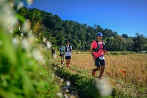 BIB: 
                            <button type="button" onclick="openModal(26572252)" class="btn btn-primary btn-sm float-right btn-popup" data-toggle="modal" data-target=".modal-high-quality">
                        <i class="fas fa-shopping-cart"></i> Add to Cart
                    </button>
                                            <button type="button" onclick="isThisMe(26572252, true)" class="btn btn-success btn-sm float-right btn-popup btn-isme hidden" data-toggle="tooltip" data-placement="bottom" title="นี่คือรูปของคุณใช่ไหม คลิกที่นี่เพื่อเอาเข้าอัลบั้ม">
                        <i class="fas fa-plus"></i> Add to album
                    </button>
                    <button type="button" onclick="isThisMe(26572252, false)" class="btn btn-warning btn-sm float-right btn-popup btn-isnotme hidden">
                        <i class="fas fa-ban"></i> Remove from album
                    </button>