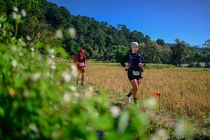 BIB: 
                            <button type="button" onclick="openModal(26581432)" class="btn btn-primary btn-sm float-right btn-popup" data-toggle="modal" data-target=".modal-high-quality">
                        <i class="fas fa-shopping-cart"></i> Add to Cart
                    </button>
                                            <button type="button" onclick="isThisMe(26581432, true)" class="btn btn-success btn-sm float-right btn-popup btn-isme hidden" data-toggle="tooltip" data-placement="bottom" title="นี่คือรูปของคุณใช่ไหม คลิกที่นี่เพื่อเอาเข้าอัลบั้ม">
                        <i class="fas fa-plus"></i> Add to album
                    </button>
                    <button type="button" onclick="isThisMe(26581432, false)" class="btn btn-warning btn-sm float-right btn-popup btn-isnotme hidden">
                        <i class="fas fa-ban"></i> Remove from album
                    </button>