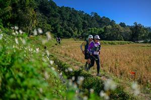 BIB: 
                            <button type="button" onclick="openModal(26576494)" class="btn btn-primary btn-sm float-right btn-popup" data-toggle="modal" data-target=".modal-high-quality">
                        <i class="fas fa-shopping-cart"></i> Add to Cart
                    </button>
                                            <button type="button" onclick="isThisMe(26576494, true)" class="btn btn-success btn-sm float-right btn-popup btn-isme hidden" data-toggle="tooltip" data-placement="bottom" title="นี่คือรูปของคุณใช่ไหม คลิกที่นี่เพื่อเอาเข้าอัลบั้ม">
                        <i class="fas fa-plus"></i> Add to album
                    </button>
                    <button type="button" onclick="isThisMe(26576494, false)" class="btn btn-warning btn-sm float-right btn-popup btn-isnotme hidden">
                        <i class="fas fa-ban"></i> Remove from album
                    </button>