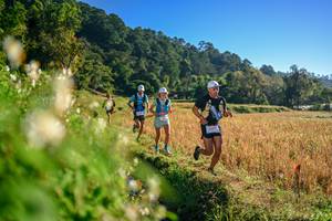 BIB: 
                            <button type="button" onclick="openModal(26570460)" class="btn btn-primary btn-sm float-right btn-popup" data-toggle="modal" data-target=".modal-high-quality">
                        <i class="fas fa-shopping-cart"></i> Add to Cart
                    </button>
                                            <button type="button" onclick="isThisMe(26570460, true)" class="btn btn-success btn-sm float-right btn-popup btn-isme hidden" data-toggle="tooltip" data-placement="bottom" title="นี่คือรูปของคุณใช่ไหม คลิกที่นี่เพื่อเอาเข้าอัลบั้ม">
                        <i class="fas fa-plus"></i> Add to album
                    </button>
                    <button type="button" onclick="isThisMe(26570460, false)" class="btn btn-warning btn-sm float-right btn-popup btn-isnotme hidden">
                        <i class="fas fa-ban"></i> Remove from album
                    </button>