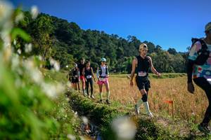 BIB: 
                            <button type="button" onclick="openModal(26574100)" class="btn btn-primary btn-sm float-right btn-popup" data-toggle="modal" data-target=".modal-high-quality">
                        <i class="fas fa-shopping-cart"></i> Add to Cart
                    </button>
                                            <button type="button" onclick="isThisMe(26574100, true)" class="btn btn-success btn-sm float-right btn-popup btn-isme hidden" data-toggle="tooltip" data-placement="bottom" title="นี่คือรูปของคุณใช่ไหม คลิกที่นี่เพื่อเอาเข้าอัลบั้ม">
                        <i class="fas fa-plus"></i> Add to album
                    </button>
                    <button type="button" onclick="isThisMe(26574100, false)" class="btn btn-warning btn-sm float-right btn-popup btn-isnotme hidden">
                        <i class="fas fa-ban"></i> Remove from album
                    </button>