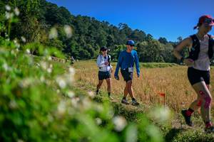 BIB: 
                            <button type="button" onclick="openModal(26581487)" class="btn btn-primary btn-sm float-right btn-popup" data-toggle="modal" data-target=".modal-high-quality">
                        <i class="fas fa-shopping-cart"></i> Add to Cart
                    </button>
                                            <button type="button" onclick="isThisMe(26581487, true)" class="btn btn-success btn-sm float-right btn-popup btn-isme hidden" data-toggle="tooltip" data-placement="bottom" title="นี่คือรูปของคุณใช่ไหม คลิกที่นี่เพื่อเอาเข้าอัลบั้ม">
                        <i class="fas fa-plus"></i> Add to album
                    </button>
                    <button type="button" onclick="isThisMe(26581487, false)" class="btn btn-warning btn-sm float-right btn-popup btn-isnotme hidden">
                        <i class="fas fa-ban"></i> Remove from album
                    </button>