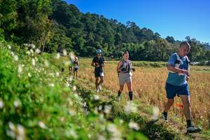 BIB: 
                            <button type="button" onclick="openModal(26571349)" class="btn btn-primary btn-sm float-right btn-popup" data-toggle="modal" data-target=".modal-high-quality">
                        <i class="fas fa-shopping-cart"></i> Add to Cart
                    </button>
                                            <button type="button" onclick="isThisMe(26571349, true)" class="btn btn-success btn-sm float-right btn-popup btn-isme hidden" data-toggle="tooltip" data-placement="bottom" title="นี่คือรูปของคุณใช่ไหม คลิกที่นี่เพื่อเอาเข้าอัลบั้ม">
                        <i class="fas fa-plus"></i> Add to album
                    </button>
                    <button type="button" onclick="isThisMe(26571349, false)" class="btn btn-warning btn-sm float-right btn-popup btn-isnotme hidden">
                        <i class="fas fa-ban"></i> Remove from album
                    </button>