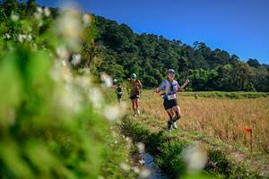 BIB: 
                            <button type="button" onclick="openModal(26575340)" class="btn btn-primary btn-sm float-right btn-popup" data-toggle="modal" data-target=".modal-high-quality">
                        <i class="fas fa-shopping-cart"></i> Add to Cart
                    </button>
                                            <button type="button" onclick="isThisMe(26575340, true)" class="btn btn-success btn-sm float-right btn-popup btn-isme hidden" data-toggle="tooltip" data-placement="bottom" title="นี่คือรูปของคุณใช่ไหม คลิกที่นี่เพื่อเอาเข้าอัลบั้ม">
                        <i class="fas fa-plus"></i> Add to album
                    </button>
                    <button type="button" onclick="isThisMe(26575340, false)" class="btn btn-warning btn-sm float-right btn-popup btn-isnotme hidden">
                        <i class="fas fa-ban"></i> Remove from album
                    </button>