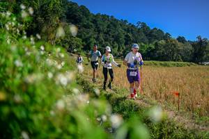 BIB: 
                            <button type="button" onclick="openModal(26581590)" class="btn btn-primary btn-sm float-right btn-popup" data-toggle="modal" data-target=".modal-high-quality">
                        <i class="fas fa-shopping-cart"></i> Add to Cart
                    </button>
                                            <button type="button" onclick="isThisMe(26581590, true)" class="btn btn-success btn-sm float-right btn-popup btn-isme hidden" data-toggle="tooltip" data-placement="bottom" title="นี่คือรูปของคุณใช่ไหม คลิกที่นี่เพื่อเอาเข้าอัลบั้ม">
                        <i class="fas fa-plus"></i> Add to album
                    </button>
                    <button type="button" onclick="isThisMe(26581590, false)" class="btn btn-warning btn-sm float-right btn-popup btn-isnotme hidden">
                        <i class="fas fa-ban"></i> Remove from album
                    </button>