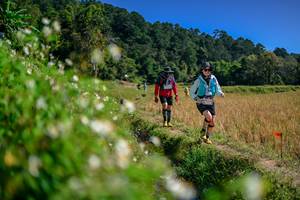 BIB: 
                            <button type="button" onclick="openModal(26582495)" class="btn btn-primary btn-sm float-right btn-popup" data-toggle="modal" data-target=".modal-high-quality">
                        <i class="fas fa-shopping-cart"></i> Add to Cart
                    </button>
                                            <button type="button" onclick="isThisMe(26582495, true)" class="btn btn-success btn-sm float-right btn-popup btn-isme hidden" data-toggle="tooltip" data-placement="bottom" title="นี่คือรูปของคุณใช่ไหม คลิกที่นี่เพื่อเอาเข้าอัลบั้ม">
                        <i class="fas fa-plus"></i> Add to album
                    </button>
                    <button type="button" onclick="isThisMe(26582495, false)" class="btn btn-warning btn-sm float-right btn-popup btn-isnotme hidden">
                        <i class="fas fa-ban"></i> Remove from album
                    </button>