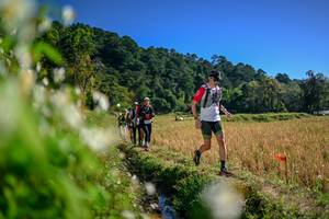 BIB: 
                            <button type="button" onclick="openModal(26573953)" class="btn btn-primary btn-sm float-right btn-popup" data-toggle="modal" data-target=".modal-high-quality">
                        <i class="fas fa-shopping-cart"></i> Add to Cart
                    </button>
                                            <button type="button" onclick="isThisMe(26573953, true)" class="btn btn-success btn-sm float-right btn-popup btn-isme hidden" data-toggle="tooltip" data-placement="bottom" title="นี่คือรูปของคุณใช่ไหม คลิกที่นี่เพื่อเอาเข้าอัลบั้ม">
                        <i class="fas fa-plus"></i> Add to album
                    </button>
                    <button type="button" onclick="isThisMe(26573953, false)" class="btn btn-warning btn-sm float-right btn-popup btn-isnotme hidden">
                        <i class="fas fa-ban"></i> Remove from album
                    </button>