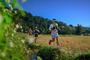 BIB: 
                            <button type="button" onclick="openModal(26579879)" class="btn btn-primary btn-sm float-right btn-popup" data-toggle="modal" data-target=".modal-high-quality">
                        <i class="fas fa-shopping-cart"></i> Add to Cart
                    </button>
                                            <button type="button" onclick="isThisMe(26579879, true)" class="btn btn-success btn-sm float-right btn-popup btn-isme hidden" data-toggle="tooltip" data-placement="bottom" title="นี่คือรูปของคุณใช่ไหม คลิกที่นี่เพื่อเอาเข้าอัลบั้ม">
                        <i class="fas fa-plus"></i> Add to album
                    </button>
                    <button type="button" onclick="isThisMe(26579879, false)" class="btn btn-warning btn-sm float-right btn-popup btn-isnotme hidden">
                        <i class="fas fa-ban"></i> Remove from album
                    </button>