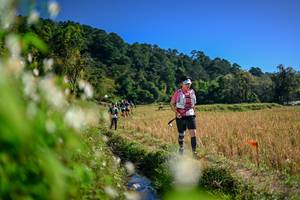 BIB: 
                            <button type="button" onclick="openModal(26575013)" class="btn btn-primary btn-sm float-right btn-popup" data-toggle="modal" data-target=".modal-high-quality">
                        <i class="fas fa-shopping-cart"></i> Add to Cart
                    </button>
                                            <button type="button" onclick="isThisMe(26575013, true)" class="btn btn-success btn-sm float-right btn-popup btn-isme hidden" data-toggle="tooltip" data-placement="bottom" title="นี่คือรูปของคุณใช่ไหม คลิกที่นี่เพื่อเอาเข้าอัลบั้ม">
                        <i class="fas fa-plus"></i> Add to album
                    </button>
                    <button type="button" onclick="isThisMe(26575013, false)" class="btn btn-warning btn-sm float-right btn-popup btn-isnotme hidden">
                        <i class="fas fa-ban"></i> Remove from album
                    </button>