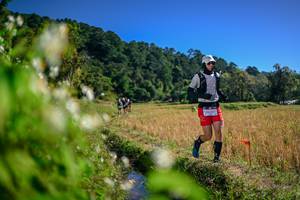 BIB: 
                            <button type="button" onclick="openModal(26575631)" class="btn btn-primary btn-sm float-right btn-popup" data-toggle="modal" data-target=".modal-high-quality">
                        <i class="fas fa-shopping-cart"></i> Add to Cart
                    </button>
                                            <button type="button" onclick="isThisMe(26575631, true)" class="btn btn-success btn-sm float-right btn-popup btn-isme hidden" data-toggle="tooltip" data-placement="bottom" title="นี่คือรูปของคุณใช่ไหม คลิกที่นี่เพื่อเอาเข้าอัลบั้ม">
                        <i class="fas fa-plus"></i> Add to album
                    </button>
                    <button type="button" onclick="isThisMe(26575631, false)" class="btn btn-warning btn-sm float-right btn-popup btn-isnotme hidden">
                        <i class="fas fa-ban"></i> Remove from album
                    </button>