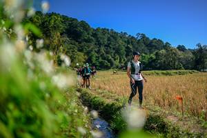 BIB: 
                            <button type="button" onclick="openModal(26575021)" class="btn btn-primary btn-sm float-right btn-popup" data-toggle="modal" data-target=".modal-high-quality">
                        <i class="fas fa-shopping-cart"></i> Add to Cart
                    </button>
                                            <button type="button" onclick="isThisMe(26575021, true)" class="btn btn-success btn-sm float-right btn-popup btn-isme hidden" data-toggle="tooltip" data-placement="bottom" title="นี่คือรูปของคุณใช่ไหม คลิกที่นี่เพื่อเอาเข้าอัลบั้ม">
                        <i class="fas fa-plus"></i> Add to album
                    </button>
                    <button type="button" onclick="isThisMe(26575021, false)" class="btn btn-warning btn-sm float-right btn-popup btn-isnotme hidden">
                        <i class="fas fa-ban"></i> Remove from album
                    </button>