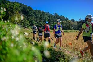 BIB: 
                            <button type="button" onclick="openModal(26579629)" class="btn btn-primary btn-sm float-right btn-popup" data-toggle="modal" data-target=".modal-high-quality">
                        <i class="fas fa-shopping-cart"></i> Add to Cart
                    </button>
                                            <button type="button" onclick="isThisMe(26579629, true)" class="btn btn-success btn-sm float-right btn-popup btn-isme hidden" data-toggle="tooltip" data-placement="bottom" title="นี่คือรูปของคุณใช่ไหม คลิกที่นี่เพื่อเอาเข้าอัลบั้ม">
                        <i class="fas fa-plus"></i> Add to album
                    </button>
                    <button type="button" onclick="isThisMe(26579629, false)" class="btn btn-warning btn-sm float-right btn-popup btn-isnotme hidden">
                        <i class="fas fa-ban"></i> Remove from album
                    </button>