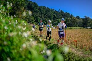 BIB: 
                            <button type="button" onclick="openModal(26581603)" class="btn btn-primary btn-sm float-right btn-popup" data-toggle="modal" data-target=".modal-high-quality">
                        <i class="fas fa-shopping-cart"></i> Add to Cart
                    </button>
                                            <button type="button" onclick="isThisMe(26581603, true)" class="btn btn-success btn-sm float-right btn-popup btn-isme hidden" data-toggle="tooltip" data-placement="bottom" title="นี่คือรูปของคุณใช่ไหม คลิกที่นี่เพื่อเอาเข้าอัลบั้ม">
                        <i class="fas fa-plus"></i> Add to album
                    </button>
                    <button type="button" onclick="isThisMe(26581603, false)" class="btn btn-warning btn-sm float-right btn-popup btn-isnotme hidden">
                        <i class="fas fa-ban"></i> Remove from album
                    </button>