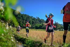 BIB: 
                            <button type="button" onclick="openModal(26581033)" class="btn btn-primary btn-sm float-right btn-popup" data-toggle="modal" data-target=".modal-high-quality">
                        <i class="fas fa-shopping-cart"></i> Add to Cart
                    </button>
                                            <button type="button" onclick="isThisMe(26581033, true)" class="btn btn-success btn-sm float-right btn-popup btn-isme hidden" data-toggle="tooltip" data-placement="bottom" title="นี่คือรูปของคุณใช่ไหม คลิกที่นี่เพื่อเอาเข้าอัลบั้ม">
                        <i class="fas fa-plus"></i> Add to album
                    </button>
                    <button type="button" onclick="isThisMe(26581033, false)" class="btn btn-warning btn-sm float-right btn-popup btn-isnotme hidden">
                        <i class="fas fa-ban"></i> Remove from album
                    </button>