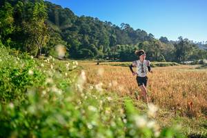 BIB: 
                            <button type="button" onclick="openModal(26570268)" class="btn btn-primary btn-sm float-right btn-popup" data-toggle="modal" data-target=".modal-high-quality">
                        <i class="fas fa-shopping-cart"></i> Add to Cart
                    </button>
                                            <button type="button" onclick="isThisMe(26570268, true)" class="btn btn-success btn-sm float-right btn-popup btn-isme hidden" data-toggle="tooltip" data-placement="bottom" title="นี่คือรูปของคุณใช่ไหม คลิกที่นี่เพื่อเอาเข้าอัลบั้ม">
                        <i class="fas fa-plus"></i> Add to album
                    </button>
                    <button type="button" onclick="isThisMe(26570268, false)" class="btn btn-warning btn-sm float-right btn-popup btn-isnotme hidden">
                        <i class="fas fa-ban"></i> Remove from album
                    </button>